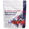 Heather's Choice Blueberry Cinnamon Breakfast