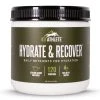 Wilderness Athlete K9 Athlete Hydrate & Recover