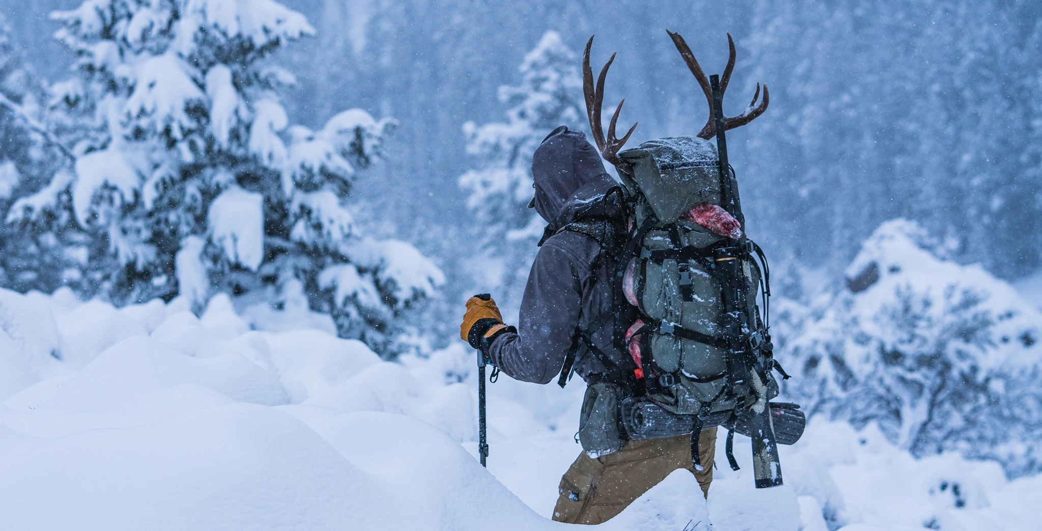 Default -Stone Glacier Shop 316102995 438364948446778 7724965066927332831 n